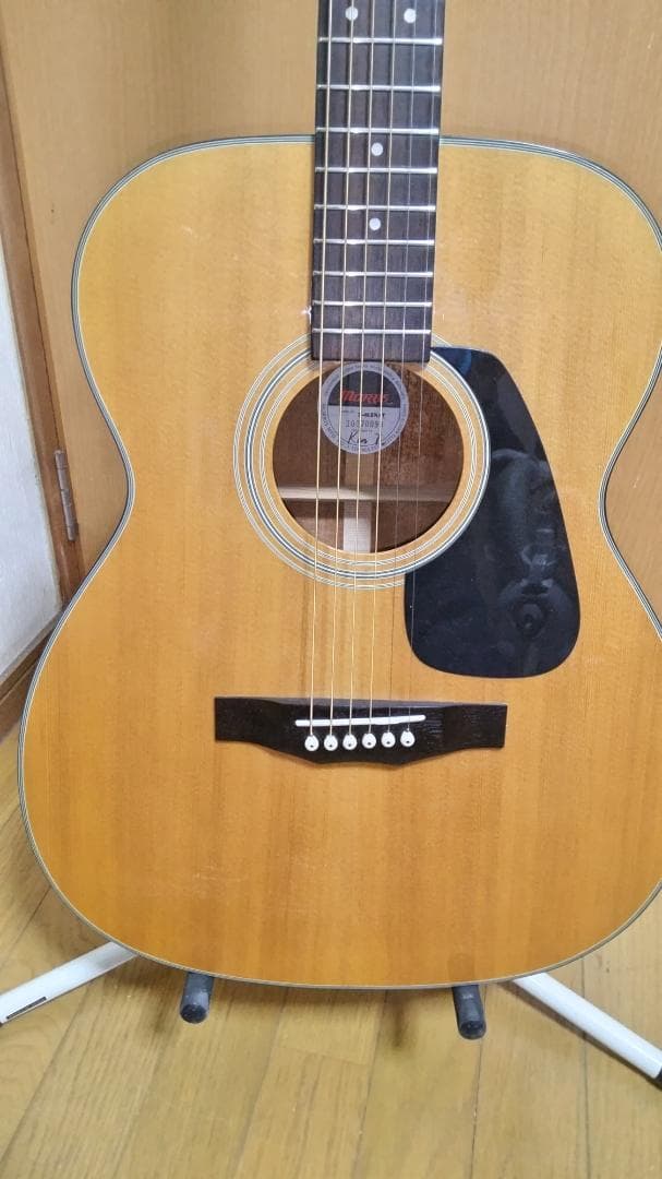 ❤️弦高調整済！「MORRIS モーリス F-01 II　 F-ゼロワン2 」