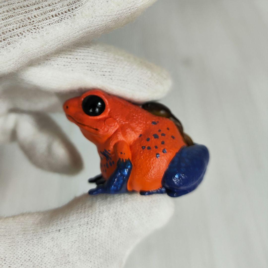 【動物の惑星】レア★ヤドクガエル!23年新春限定品★廃盤品&限定品!!フィギュア