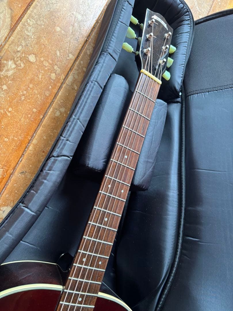 エレアコ Stafford SAD-600BS ギグバッグ付