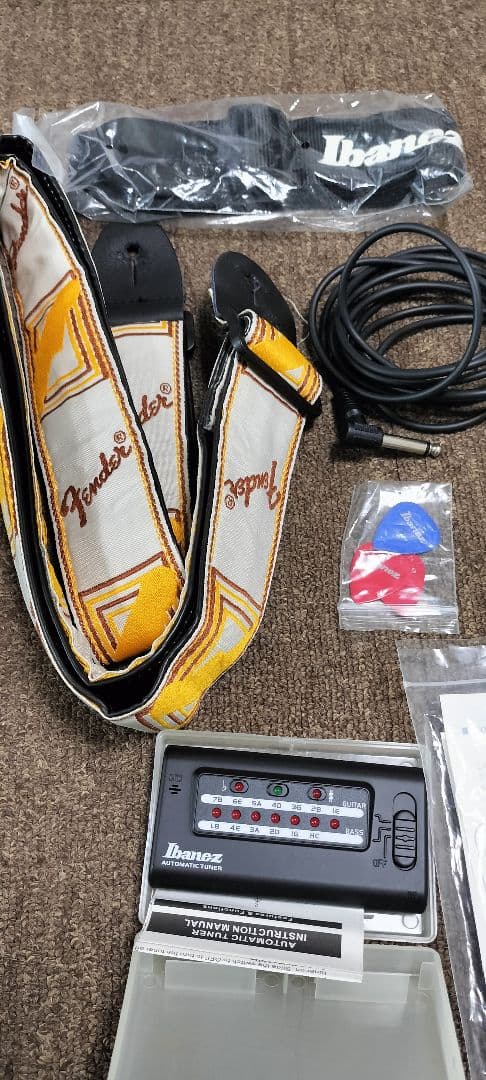 ラ*ン様 だ*ー様 Pignose ピグノーズ PGG-200 アンプ内蔵エレキ