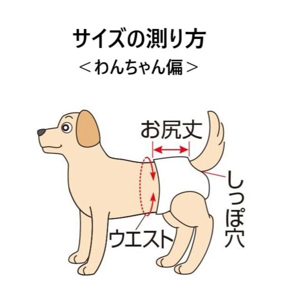 まる　PEPPY うんぽパンツSサイズ　131枚（36枚×3＋バラ23枚）