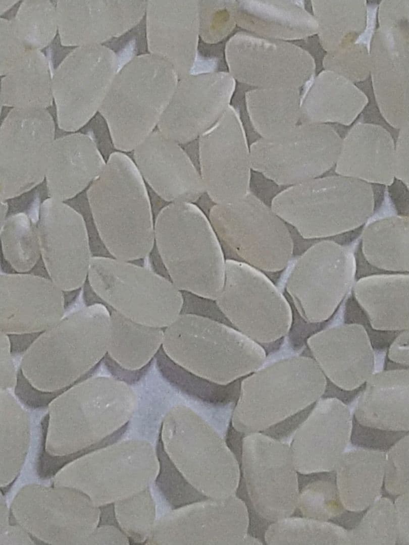 特別栽培米ひとめぼれ９kg　米粒成長期の農薬不使用、化学肥料半減