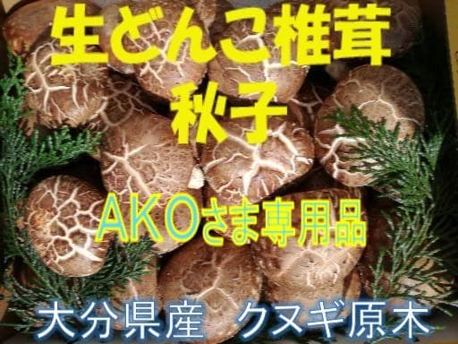 AKOさまご予約専用 大分県名産 生どんこ椎茸「秋子」ダブル