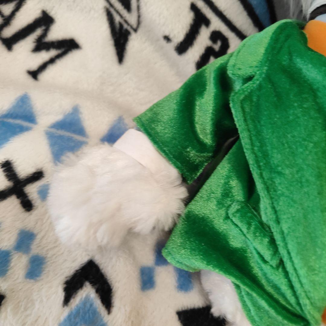 お値下です。ユニベアシティ　ルードヴィッヒ・フォン・ドレイク教授