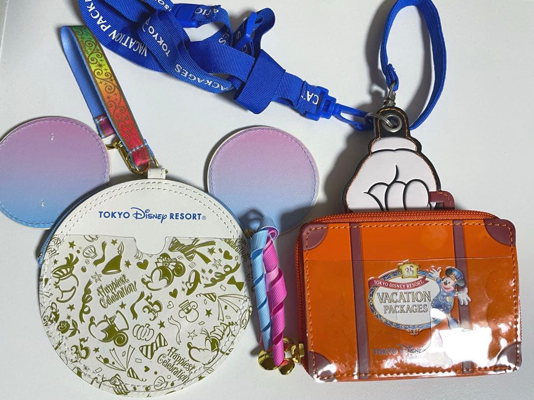 ディズニー イマジニングザマジックバッグ 実写 カメラバッグ＋パスケース2個