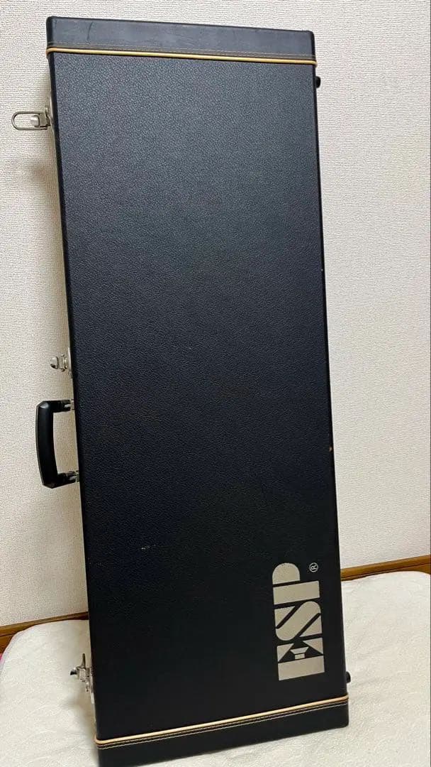 ESPエレキギター PIERROTアイジモデル(001)-560P 定価56万円