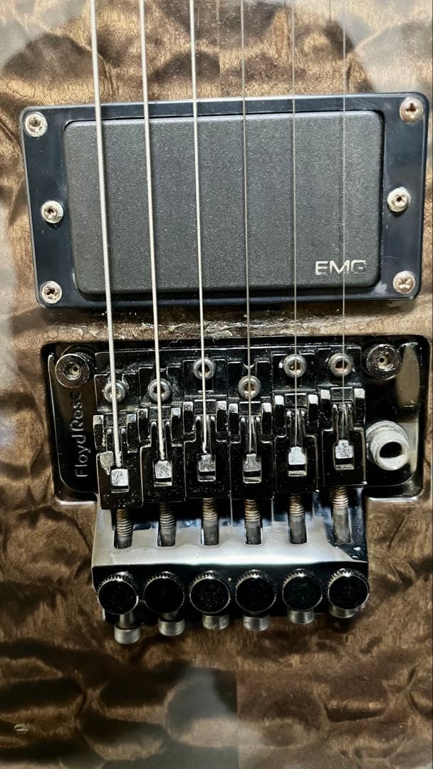 ESPエレキギター PIERROTアイジモデル(001)-560P 定価56万円