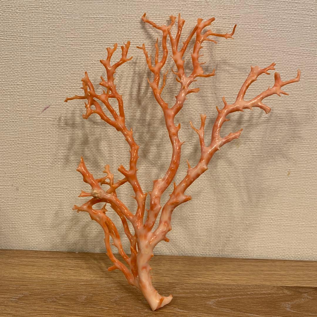珊瑚　アンティーク　1体 縁起物　激安