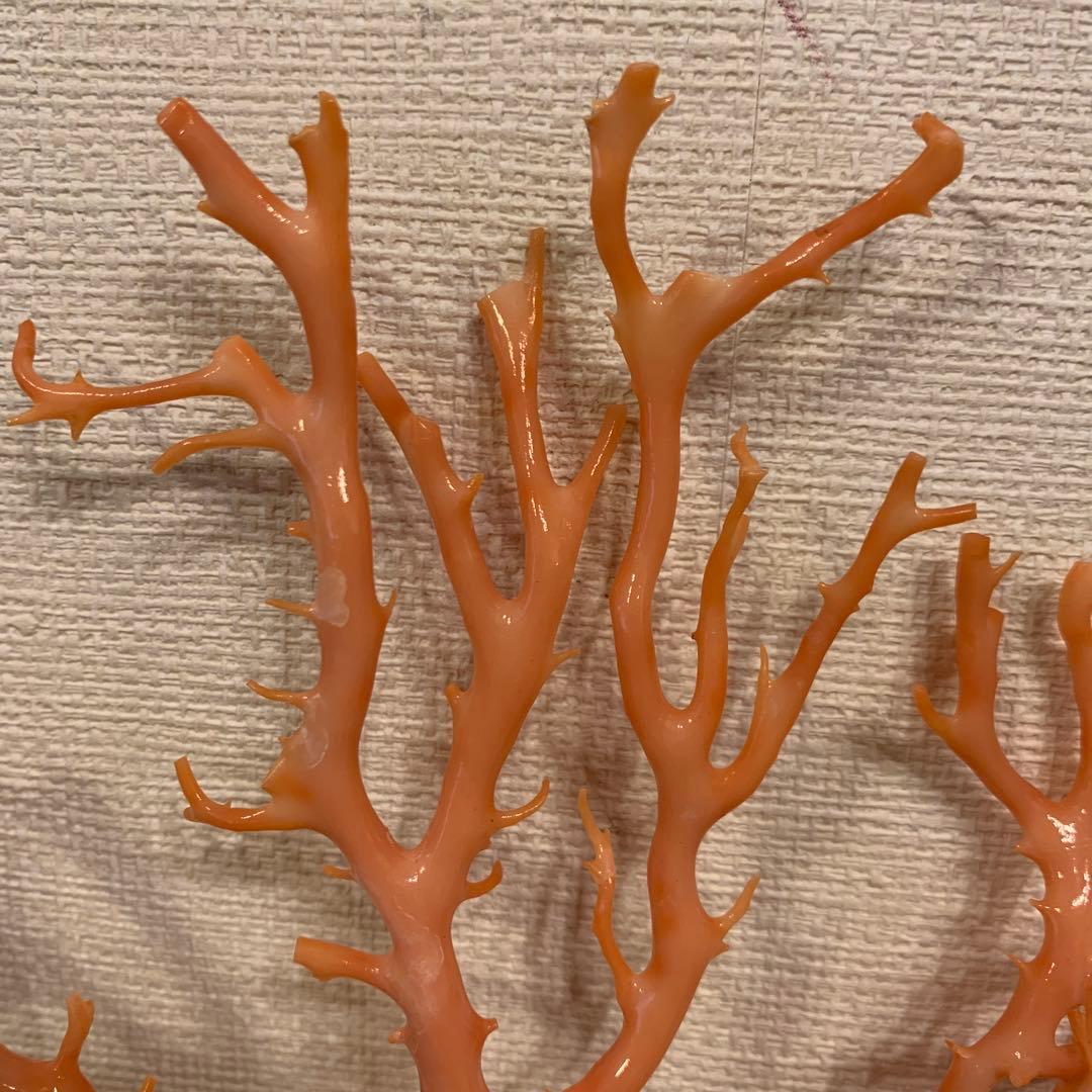 珊瑚　アンティーク　1体 縁起物　激安