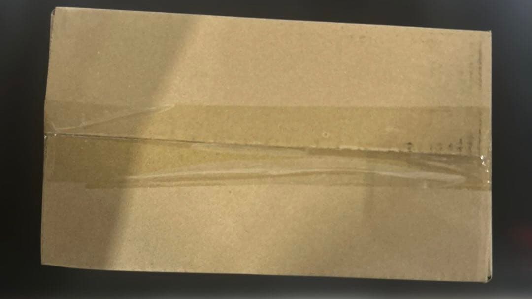 KIYOMARU 24cm解剖人体模型