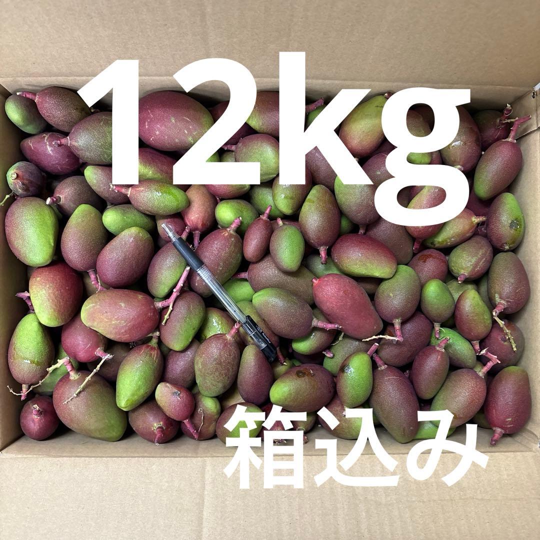 摘果マンゴー　　12kg箱込み