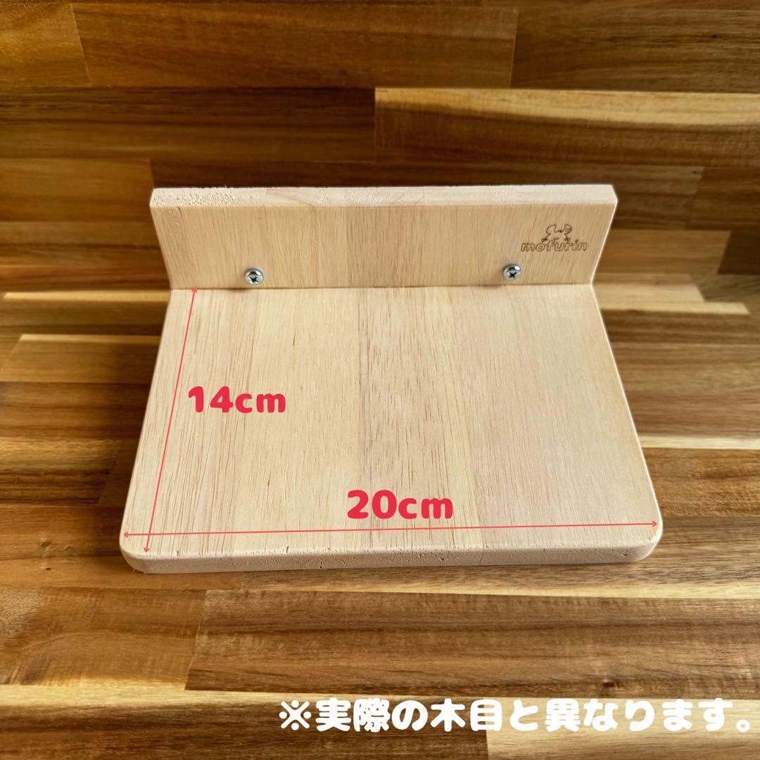 【もふりん工房】オリジナル チンチラさんお迎えスターターセット