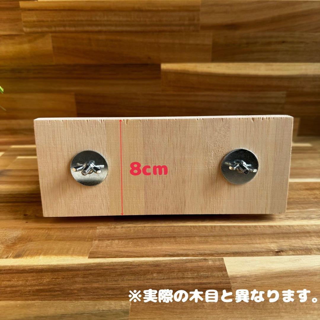 【もふりん工房】オリジナル チンチラさんお迎えスターターセット