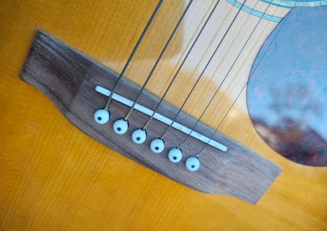 美品 ランバー LF-1 VS 入門セット／ソフトケース付