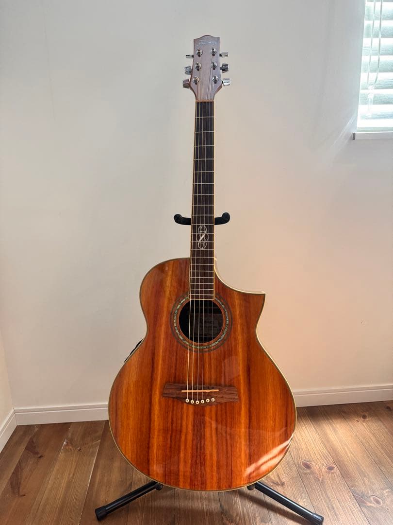 ibanez ew20koent1201 希少 エレアコ