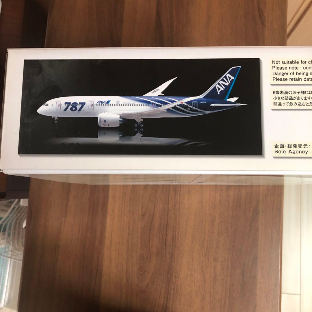 １／２００　ANAボーイング787-8(特別塗装)