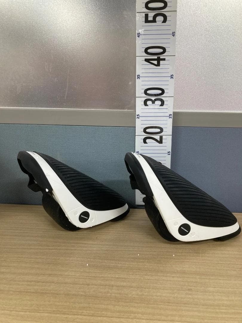 Segway Drift W1（セグウェイドリフトW1）「7290