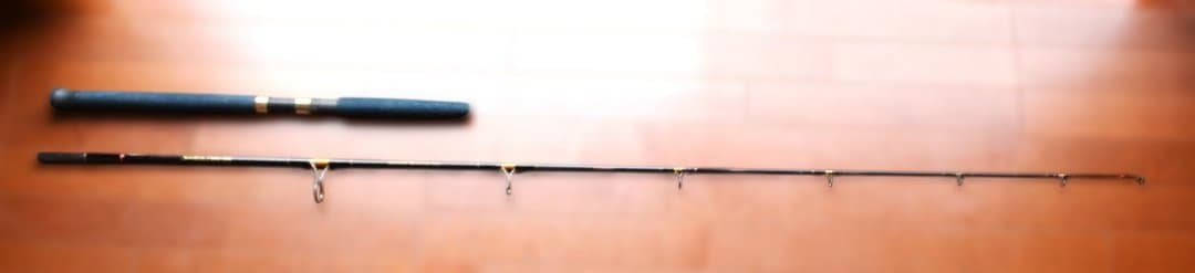 ダイコーサザンクロス Southern Cross STS76MLキャスティング