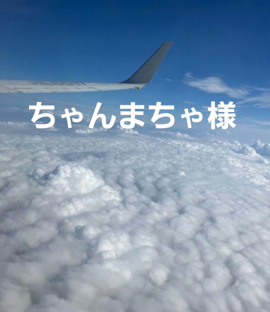 ちゃんまちゃ様