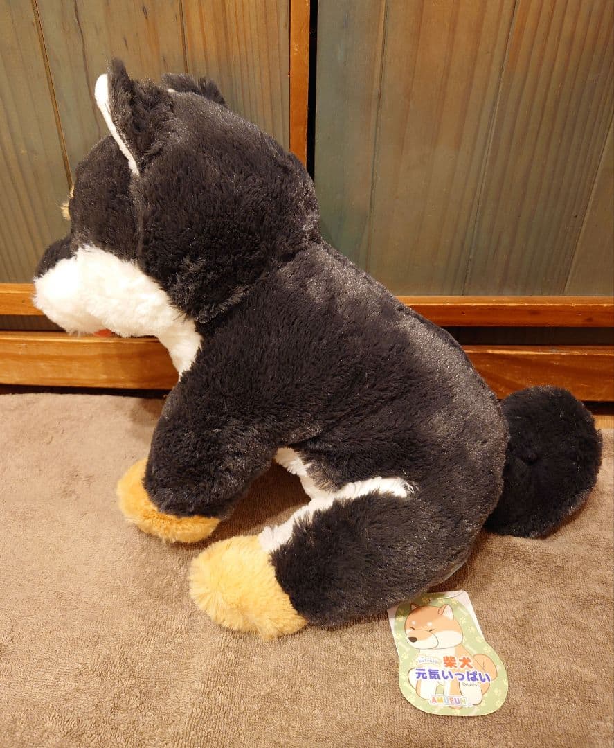 くったり柴犬 元気いっぱい くろりん JB