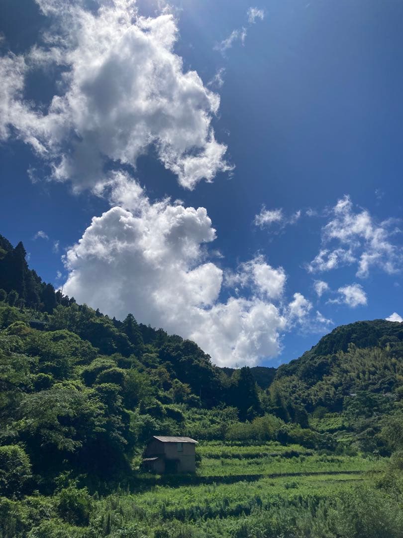 KOUMEANRIさま専用　ニホンミツバチ生ハチミツ　1120g