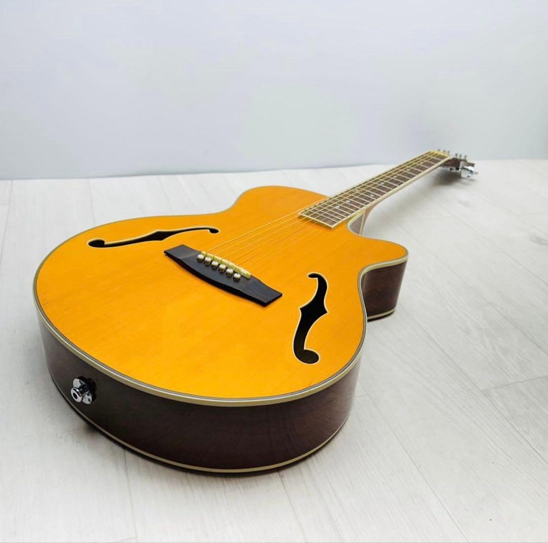 【希少】JUNO EA-50FC/VN エレアコ