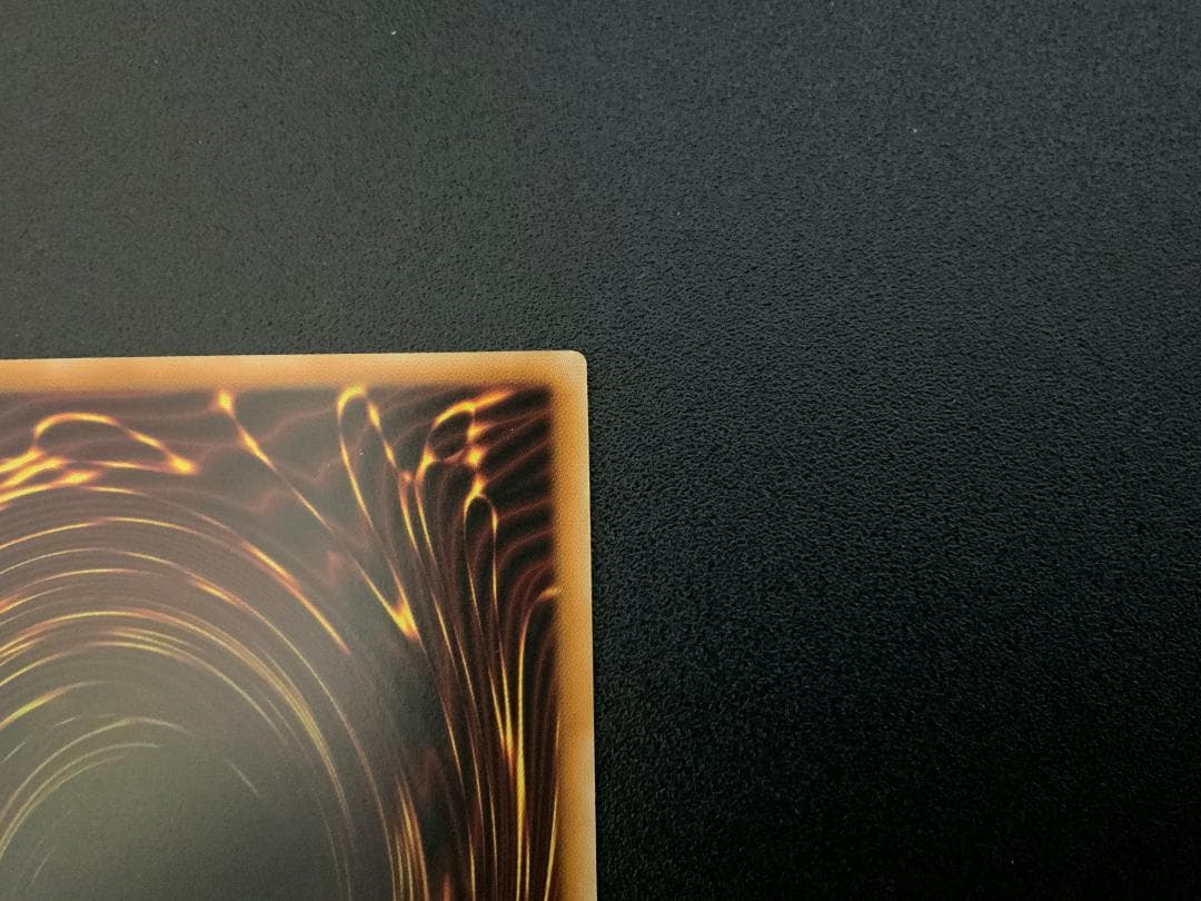 遊戯王　The Fallen & The Virtuous　プリシク