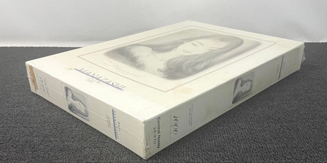 希少 未開封品 鶴田一郎 ジグソーパズル まなざし ICHIRO TSURUTA