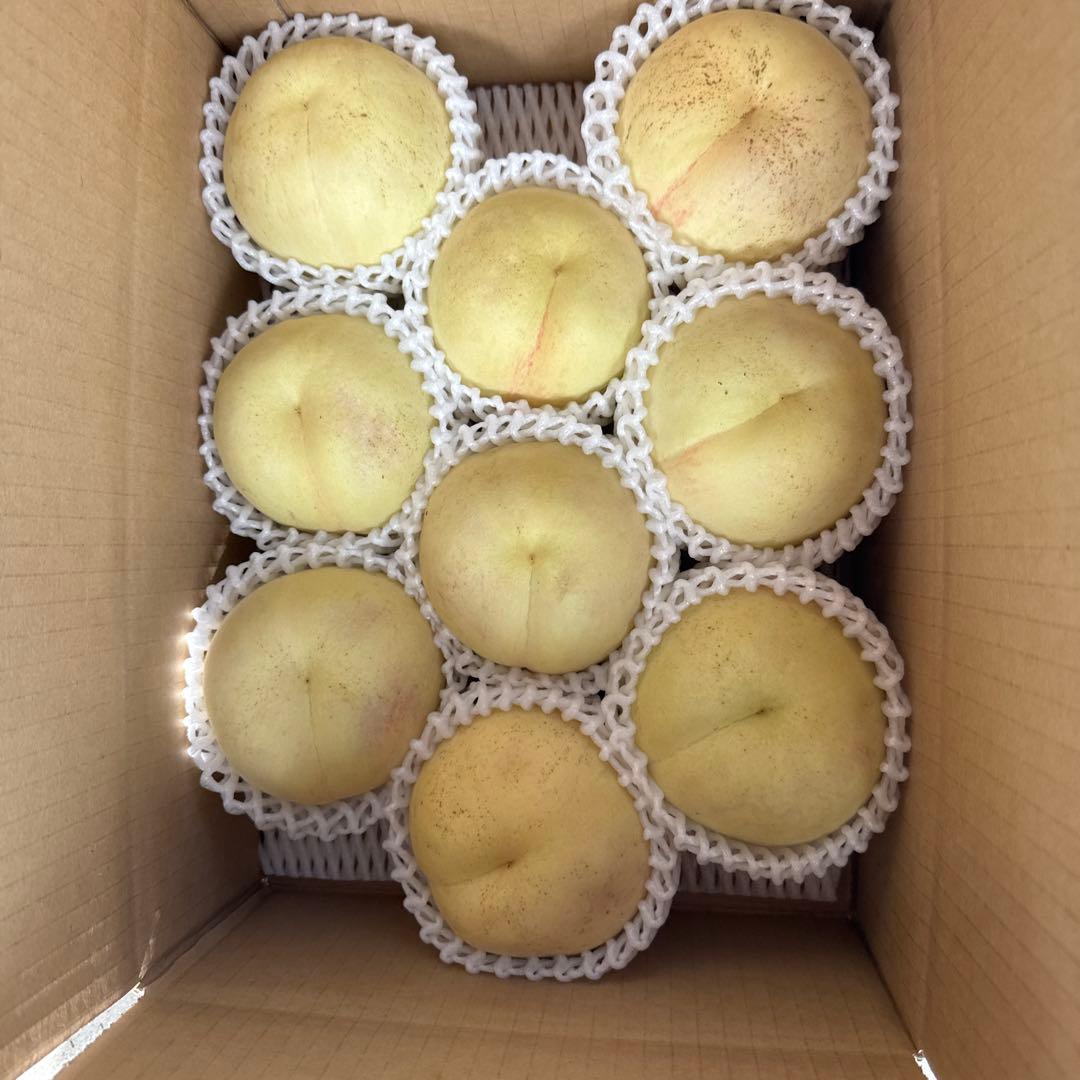 シーエックス　二箱