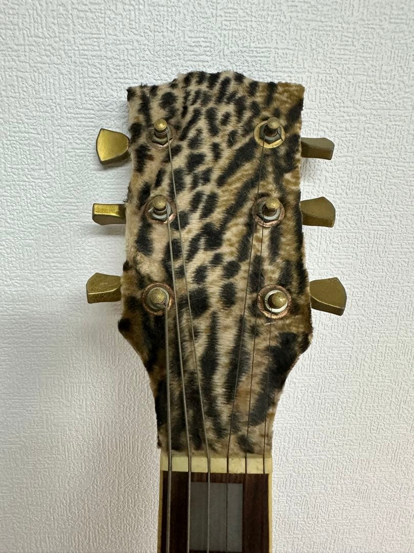 稀少エレキギター