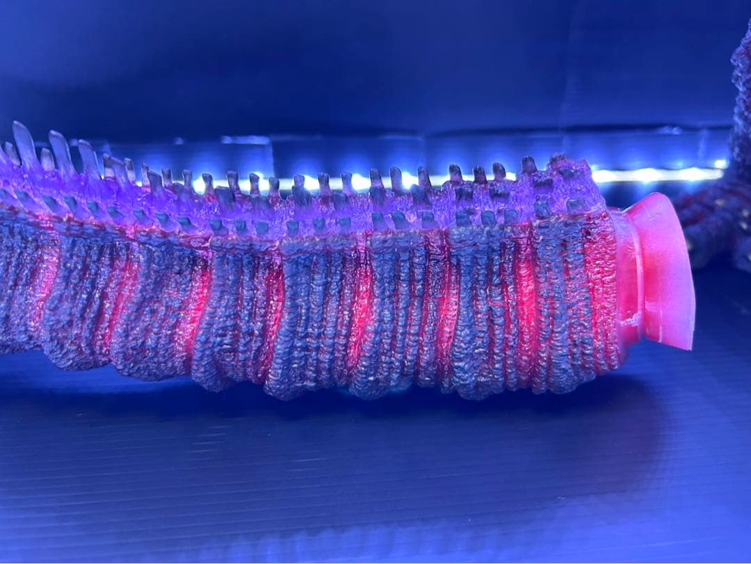 東宝30cmシリーズ　ゴジラ(2016) 少年リック限定版