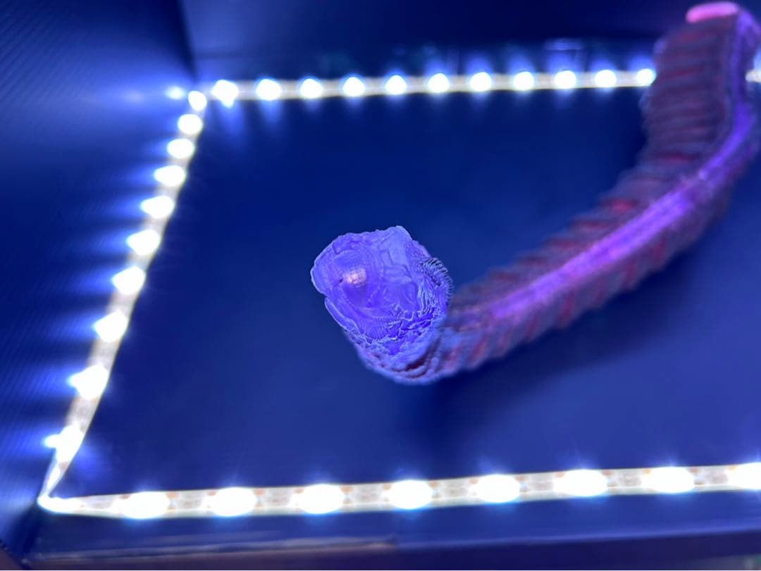 東宝30cmシリーズ　ゴジラ(2016) 少年リック限定版