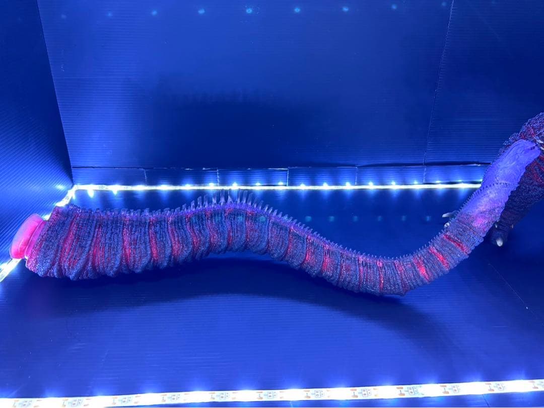 東宝30cmシリーズ　ゴジラ(2016) 少年リック限定版