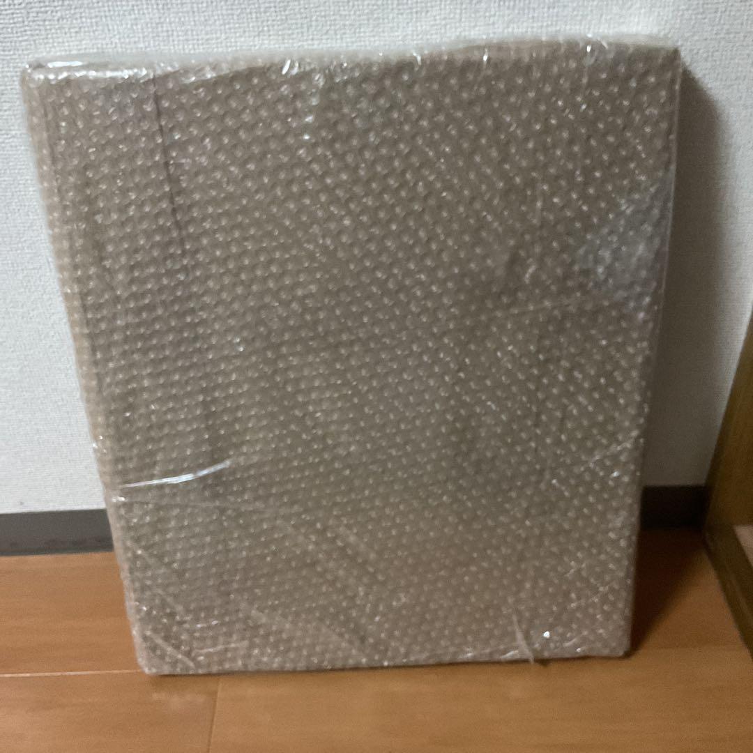 シペリウジウム　カルルム　【蘭科アツモリ草属】シンガポールラッフル