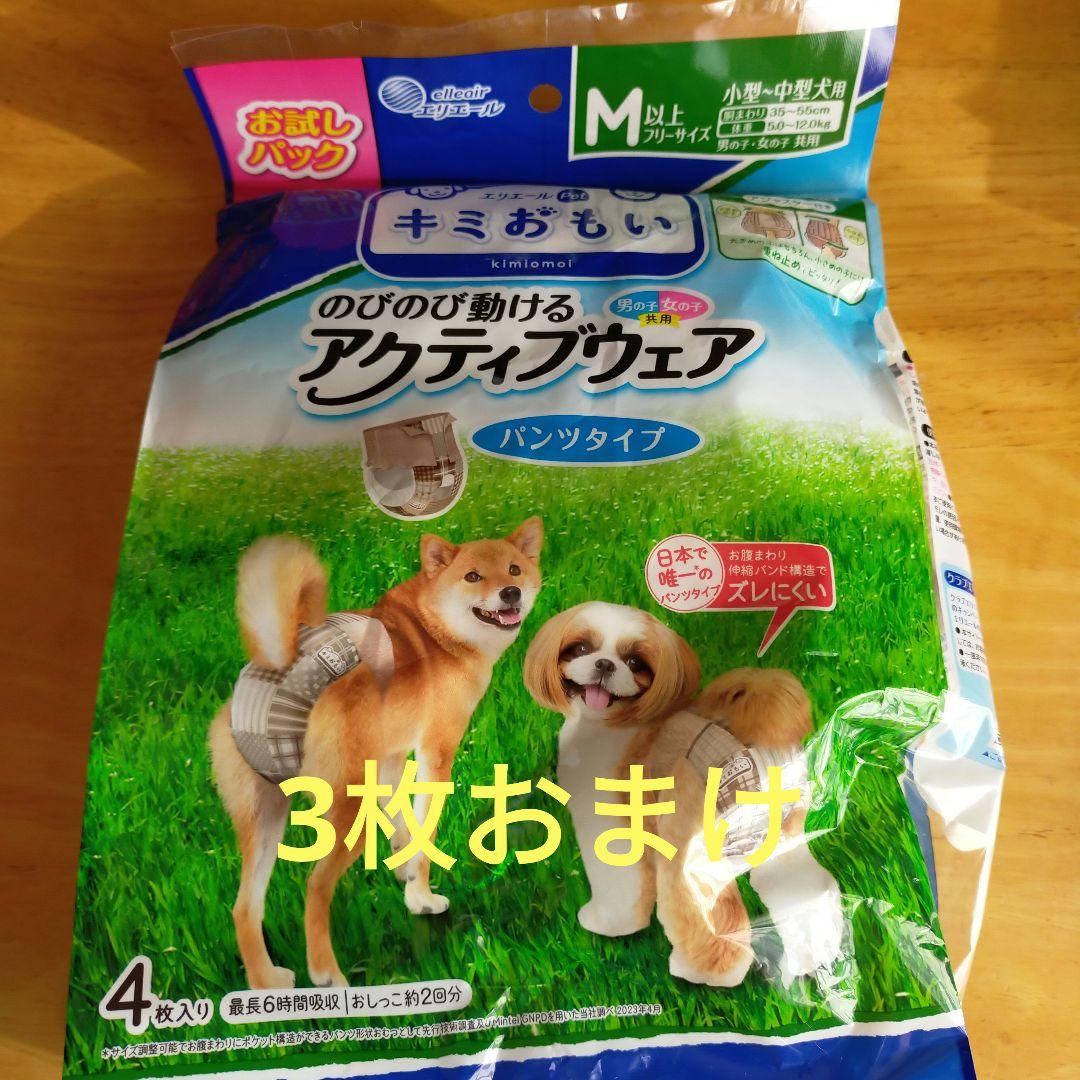 うんコロキャッチМ2枚　新品　おまけ付き