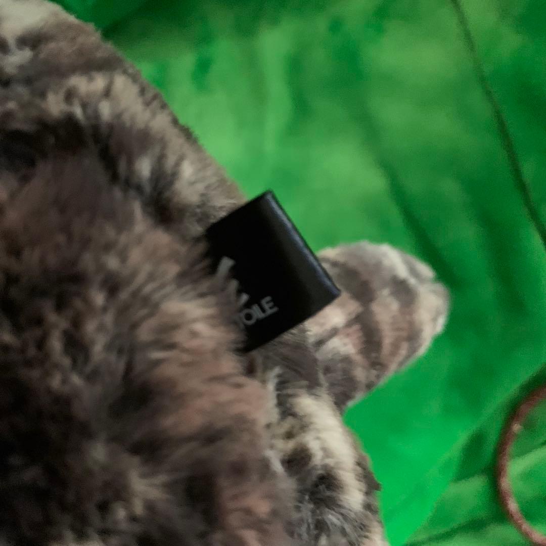 ひざねこ　お座り　ヒョウ