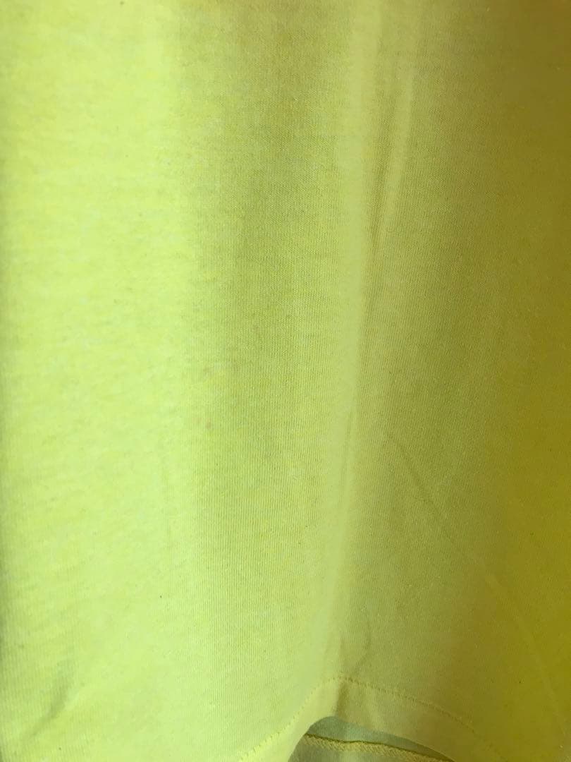 SEX PISTOLS セックスピストルズ　武道館　Tシャツ　Mサイズ　フルーツ