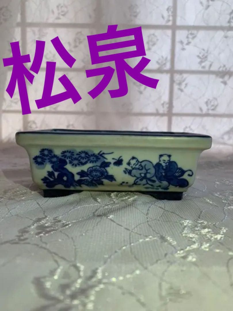 松泉　盆栽鉢