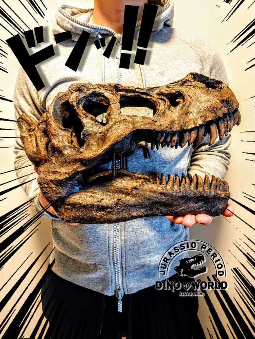 お得な２個セット！ ティラノサウルス 化石 インテリア 雑貨 オブジェ