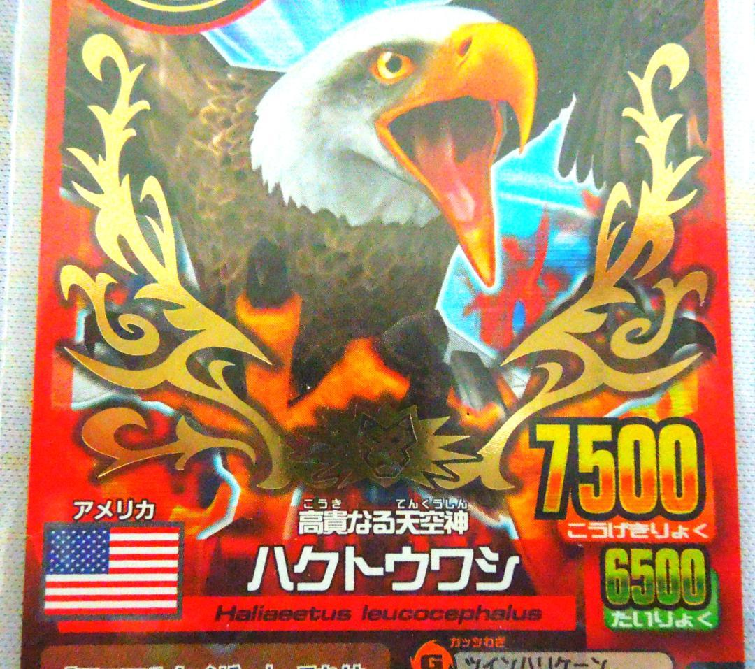 アニマルカイザー　大会優勝　ゴールドカード　NOT FOR SALE 未開封品