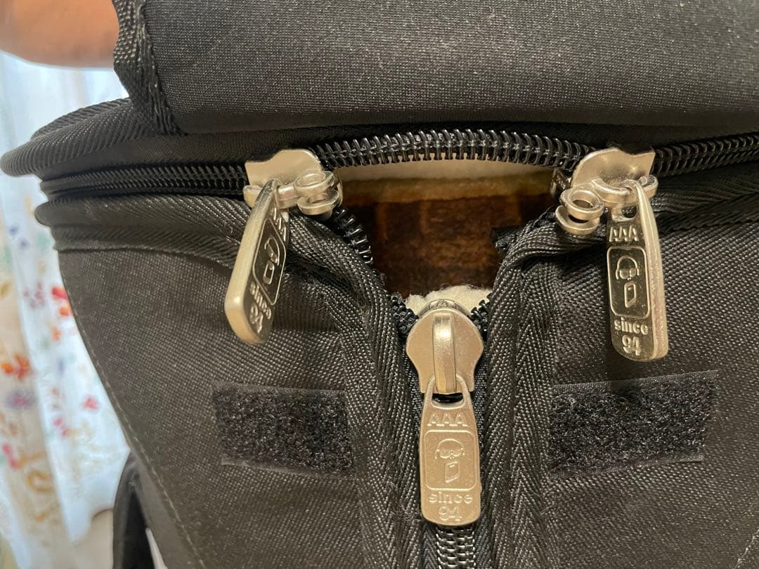 REMO ( レモ ) ジャンベ プロラケケース付