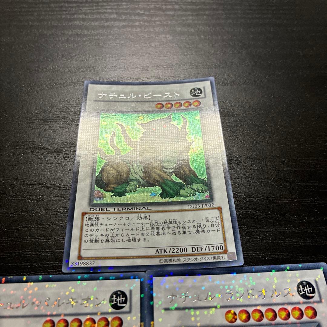 遊戯王　ナチュル　シンクロシークレットレア3枚セット