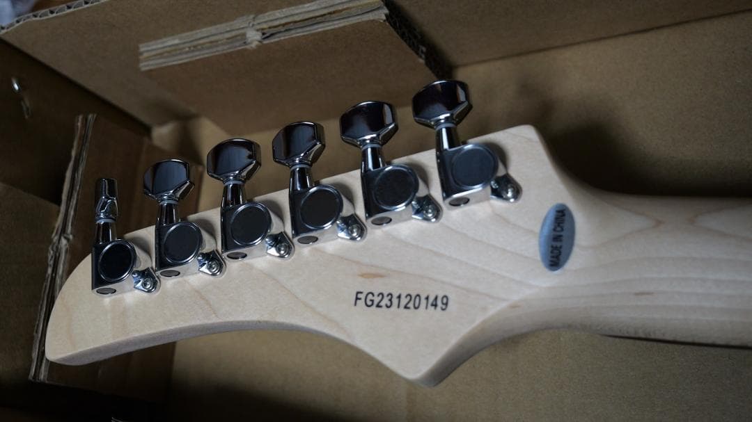 FERNANDES / NTG-LTD ’24 STP ガルクラ ヒナモデル