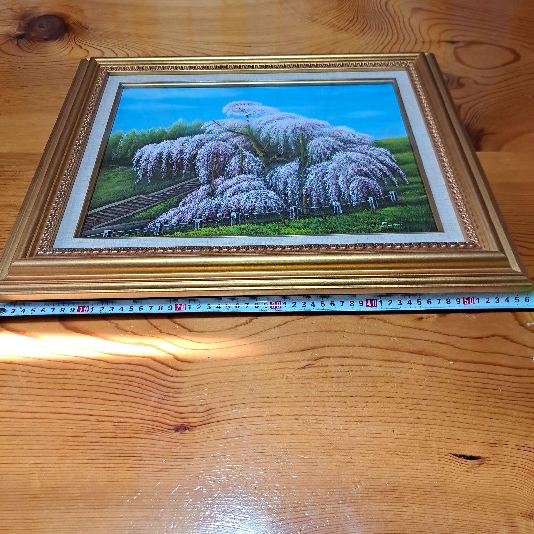 なんと‼️今だけ特別価格【期間限定商品　貴重品】日本三代桜 三春滝桜 福島県