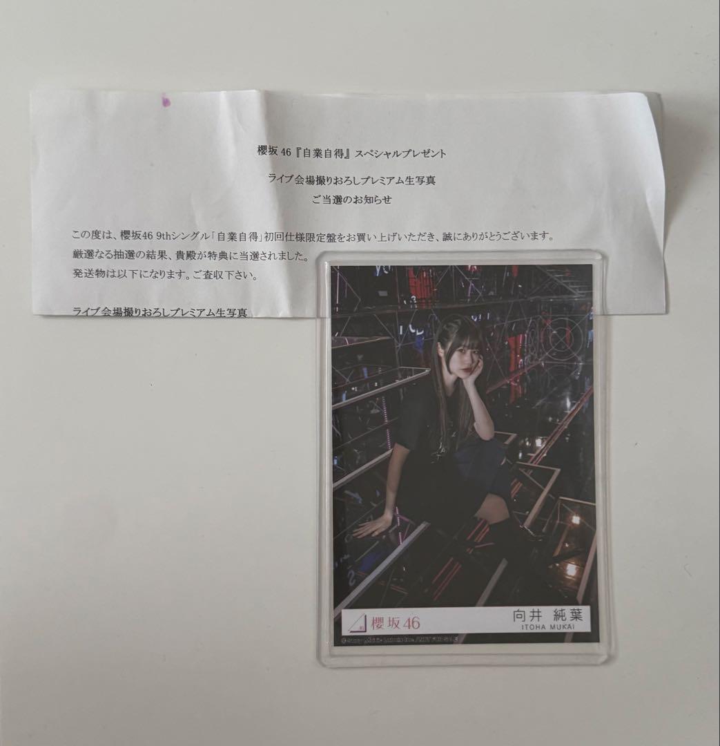 櫻坂46 向井純葉 自業自得 ライブ会場撮りおろし プレミアム生写真