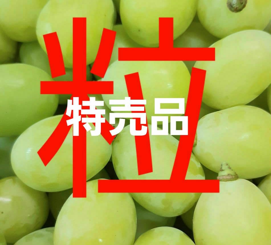 シャインマスカット徳用5.5キロ入りの粒バック入りになります。