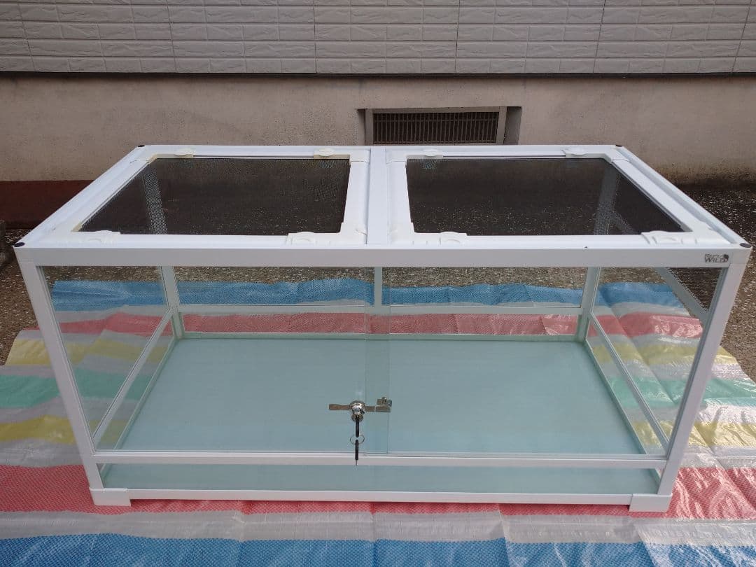 爬虫類ゲージ 引き取り