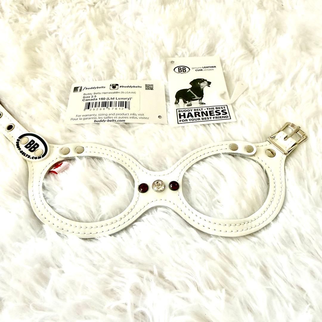 [新品] BBベルト 2.5号 スワロフスキー付き+リード セット*ホワイト