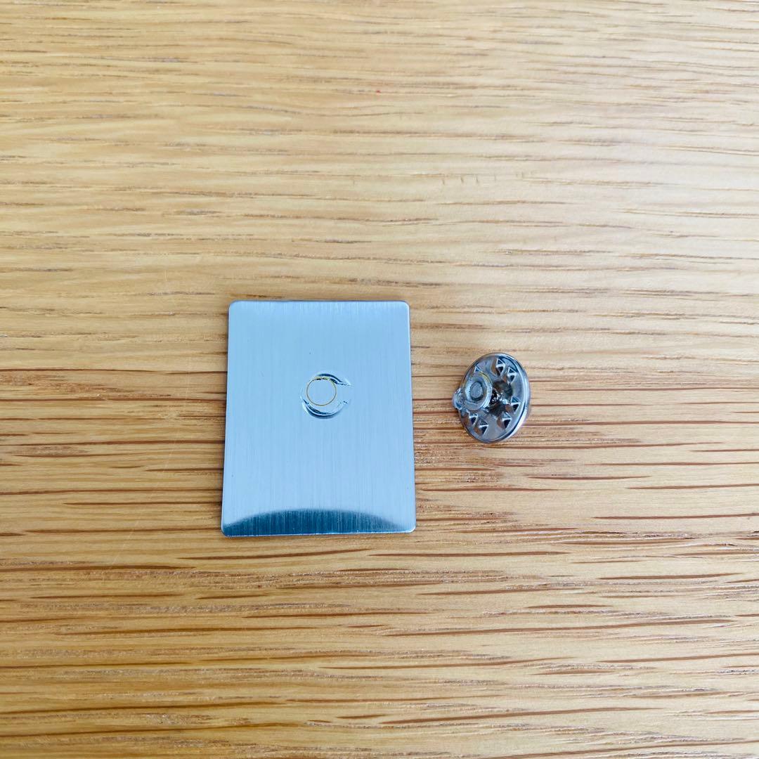 大阪・関西万博2025 非売品 アイルランド館記念品 ピンバッジ