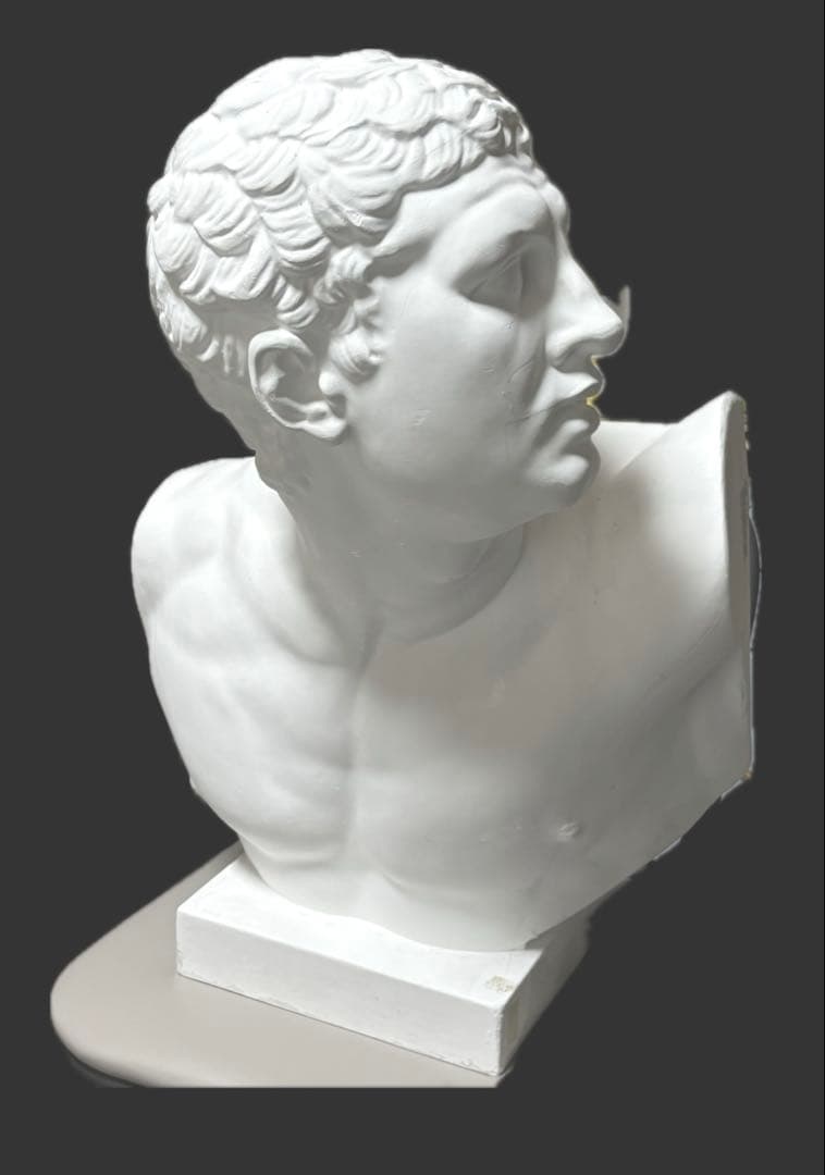 石膏像 ボルゲーゼの闘士 剣闘士 胸像